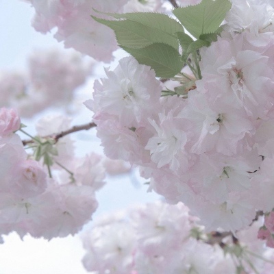 兽设线稿临摹素材兽圈群